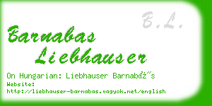 barnabas liebhauser business card